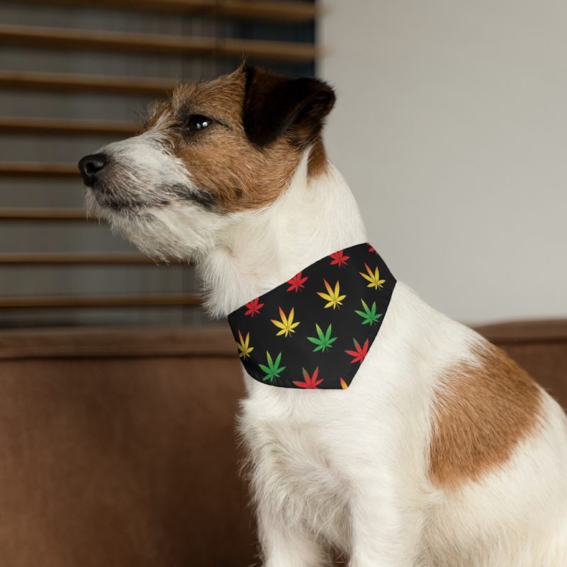420 Dog Pet Bandana Collar - Image 5