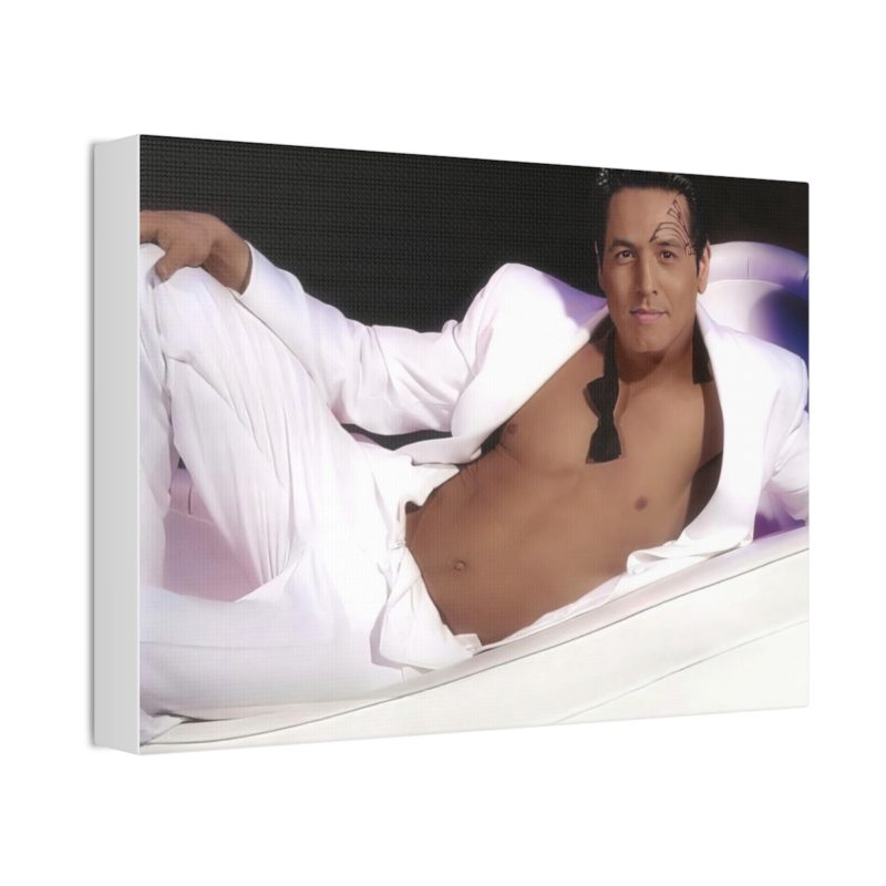 Sexy Commander Chakotay Canvas Stretched, 1.5'' - Image 14